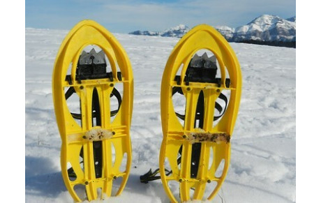 Programme 2026 des délégations 38/73/74 et 07/26