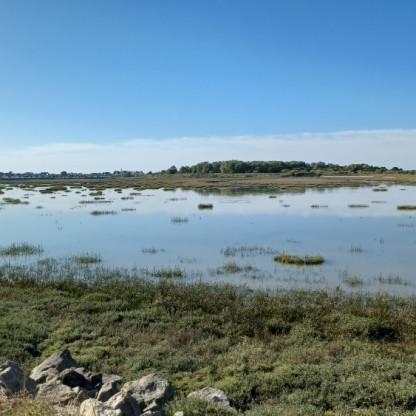 Le Crotoy 2026 - Favière