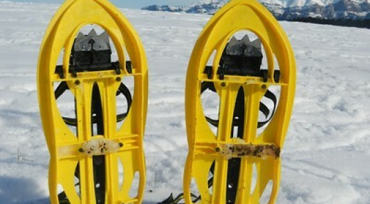 Programme 2026 des délégations 38/73/74 et 07/26